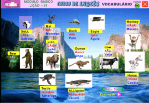 curso ingles basico wallis vocabulario dicionario animais nomes